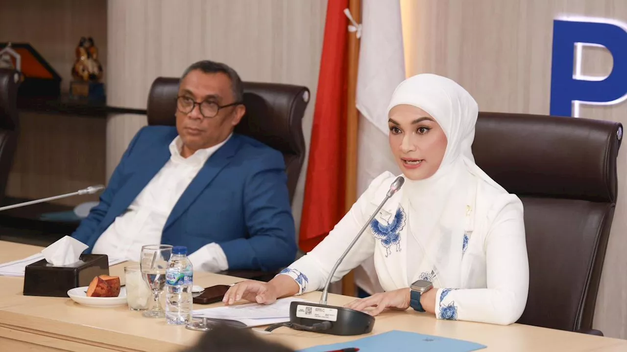 Putri Zulhas: Kenaikan PPN 12% Diiringi Bantuan dan Insentif untuk Masyarakat yang Membutuhkan