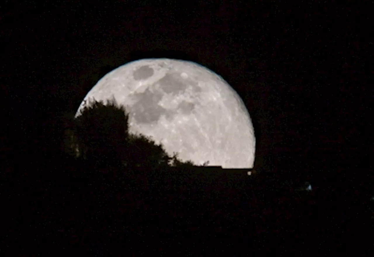 To the Moon and beyond: Japan unveils plans for lunar habitat with artificial gravity