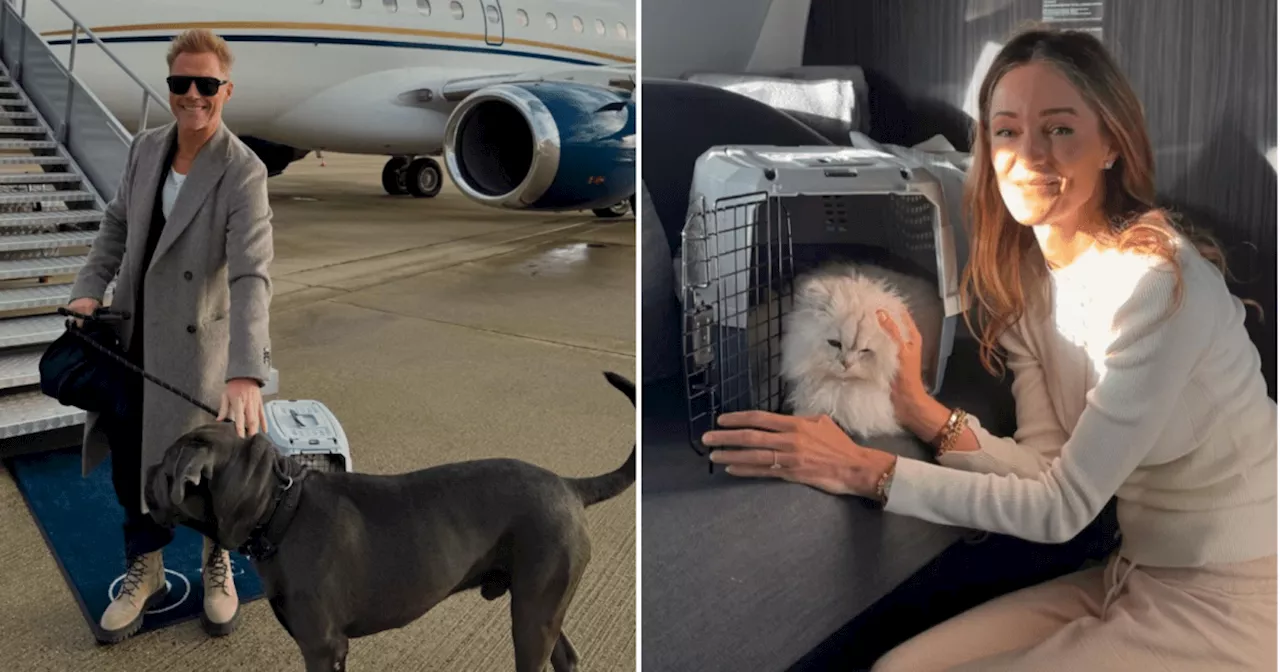 Ronan Keating defended after flying pets home for Christmas on luxury private jet