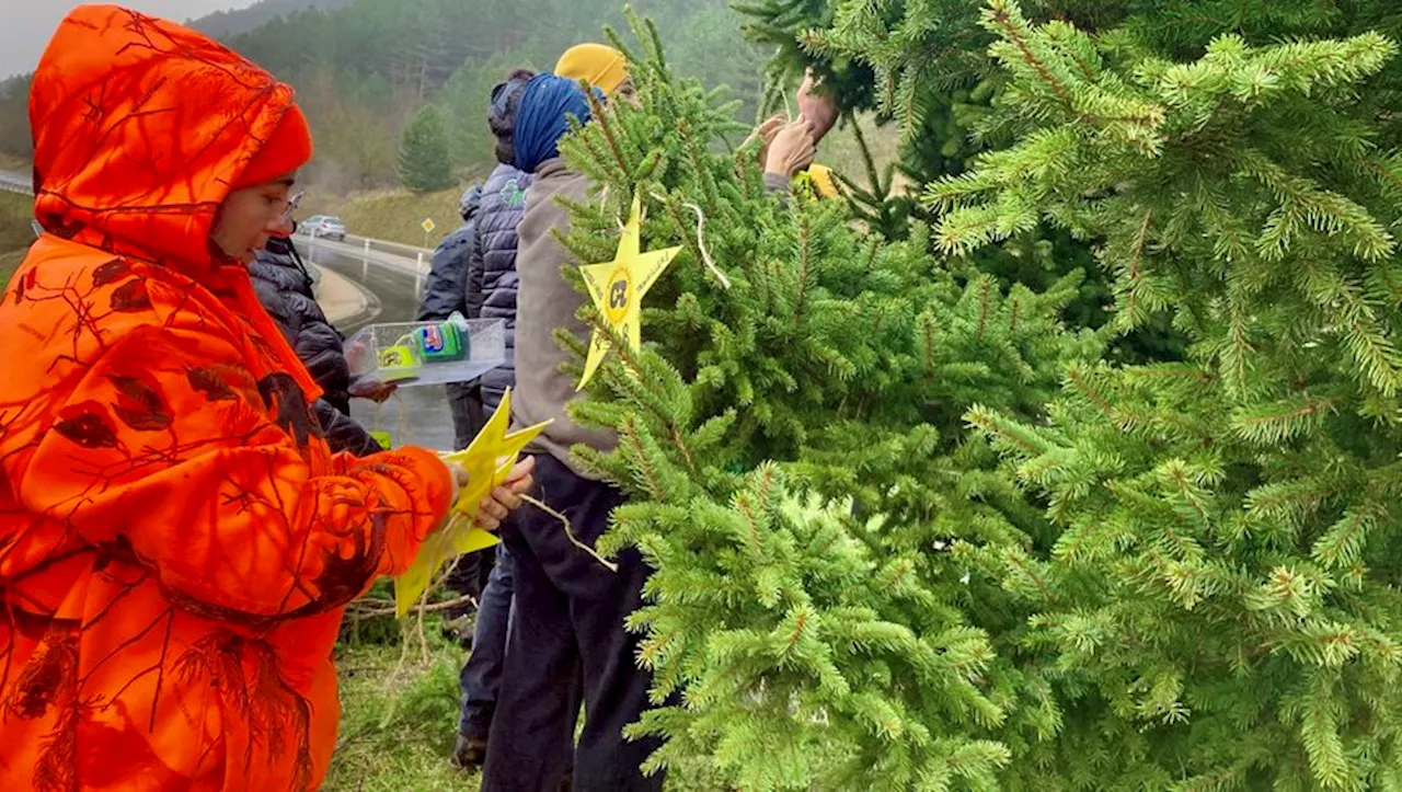 Colère des agriculteurs : la Coordination rurale de la Lozère plante un sapin de Noël