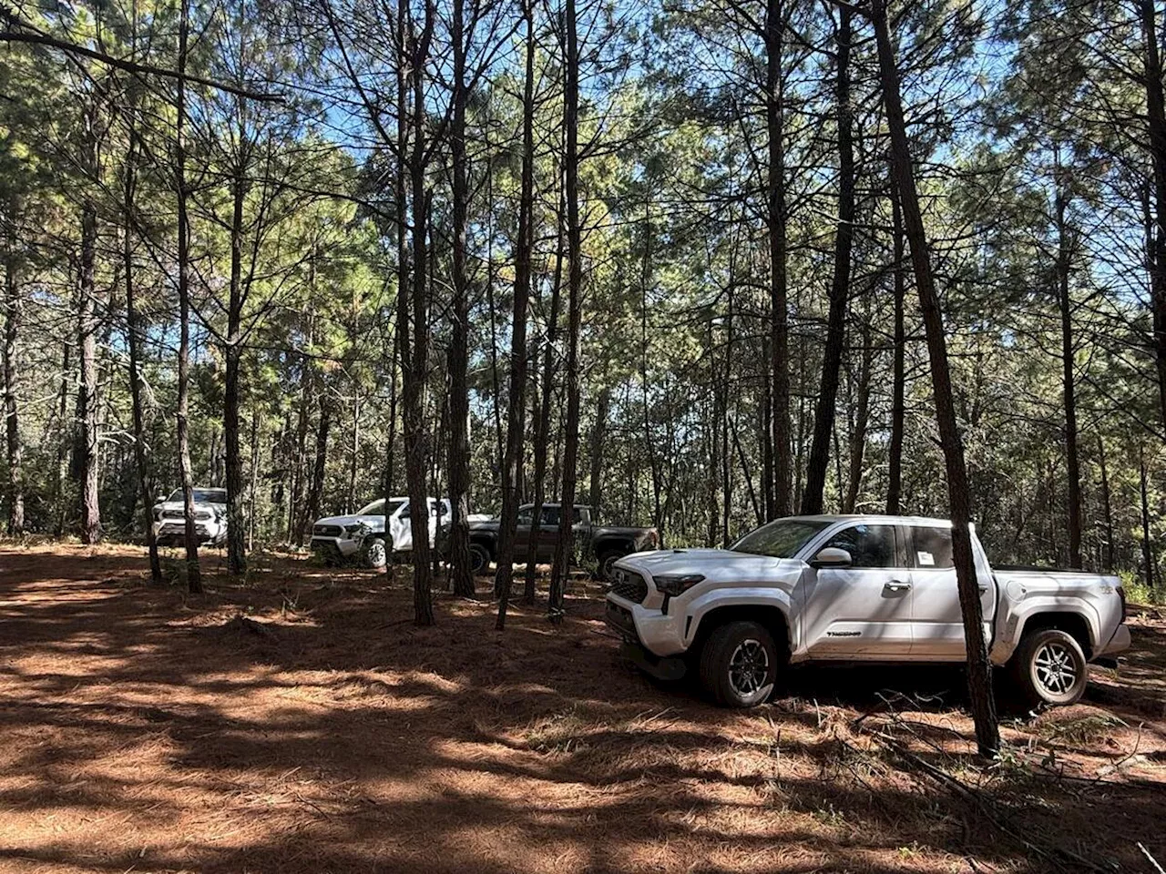 Guardia Nacional neutraliza a grupo criminal armado en Michoacán tras balacera; hay 3 detenidos