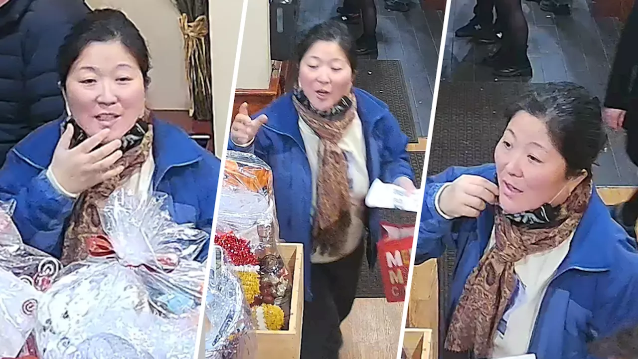 Woman who allegedly stole purse from Allston-Brighton Toy Drive arrested