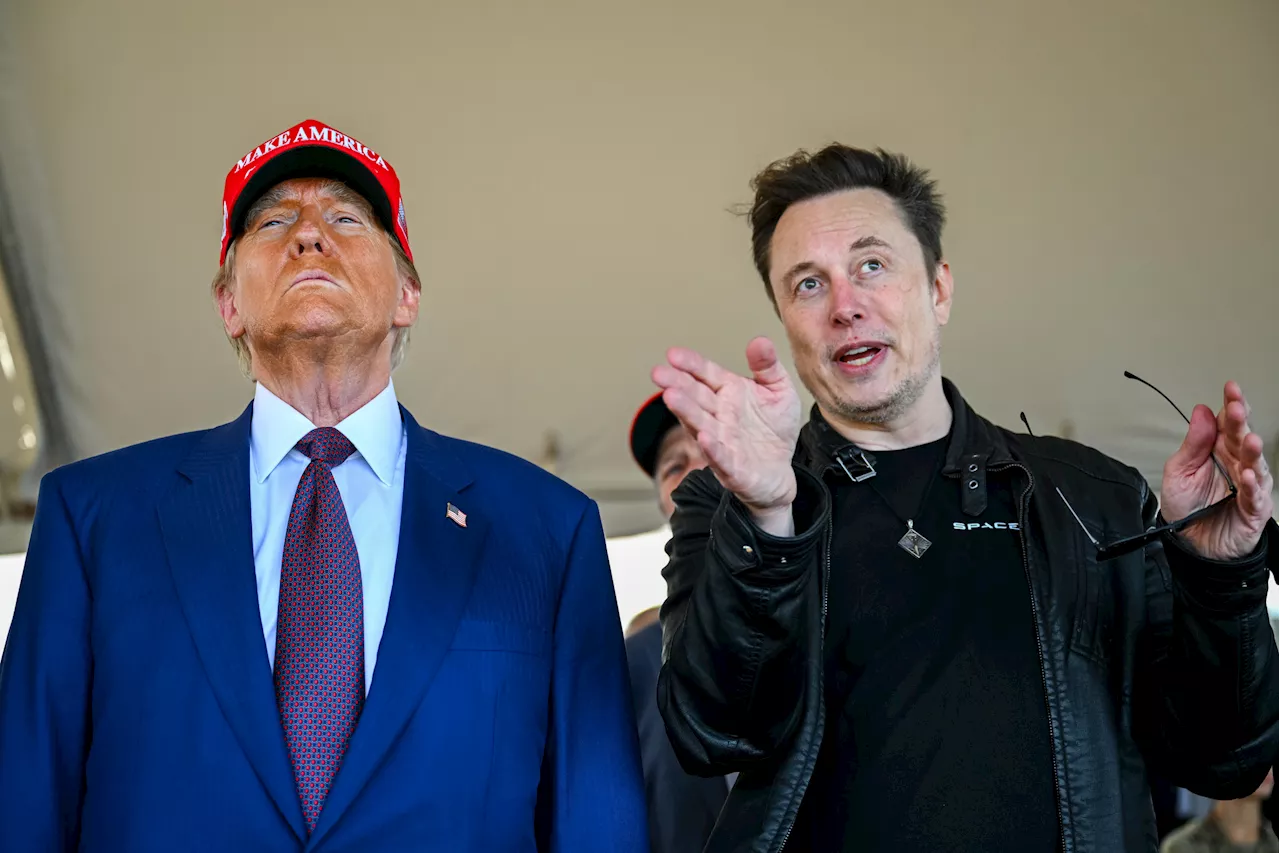 Donald Trump Explains Why He's 'Safe' From Elon Musk Being President