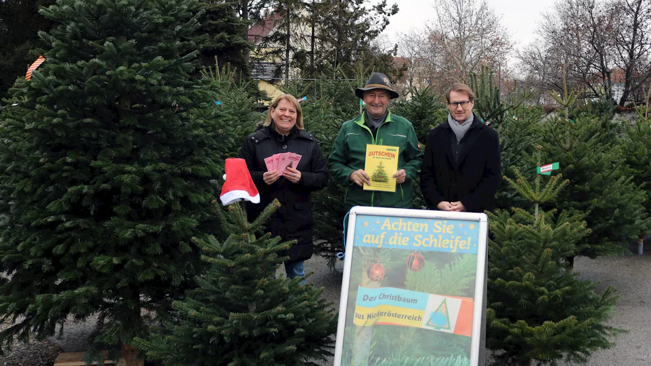 Josef Haselböck spendet 50 Christbäume an bedürftige Schwechater