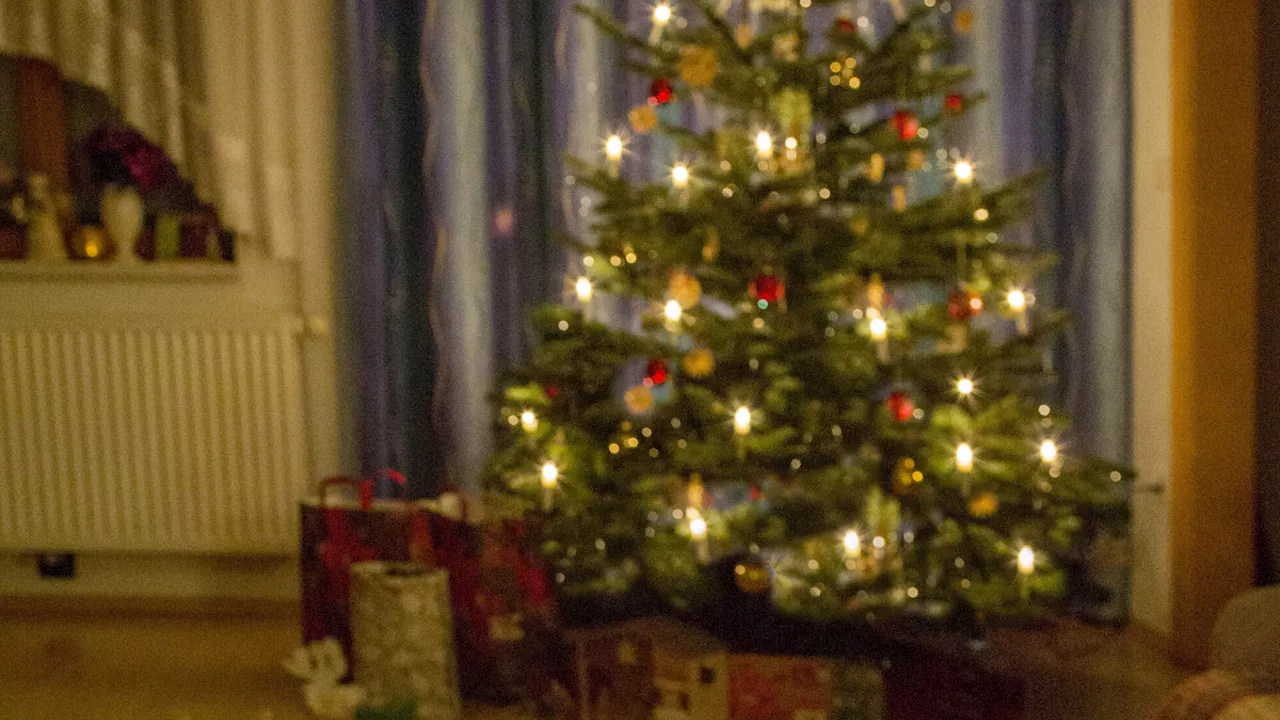 Traditionen, Verreisen & Co.: Wie die NÖ Landsleute Weihnachten feiern