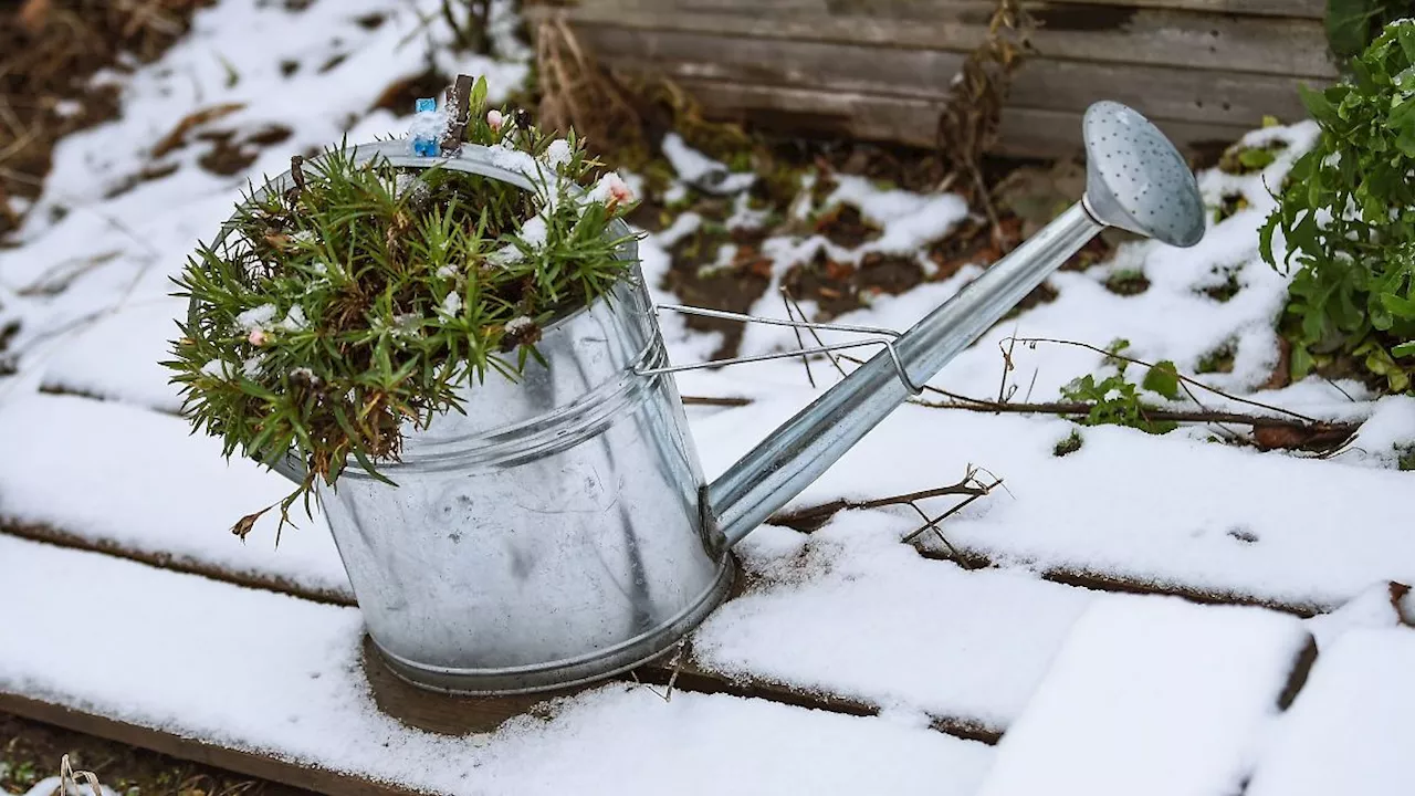 Berlin & Brandenburg: Die Aussichten: Schnee kurz vor, aber nicht an Weihnachten