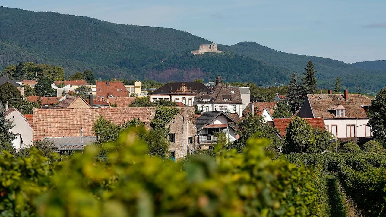 Rheinland-Pfalz & Saarland: Staffelstab für Rheinland-Pfalz-Tag an Neustadt übergeben