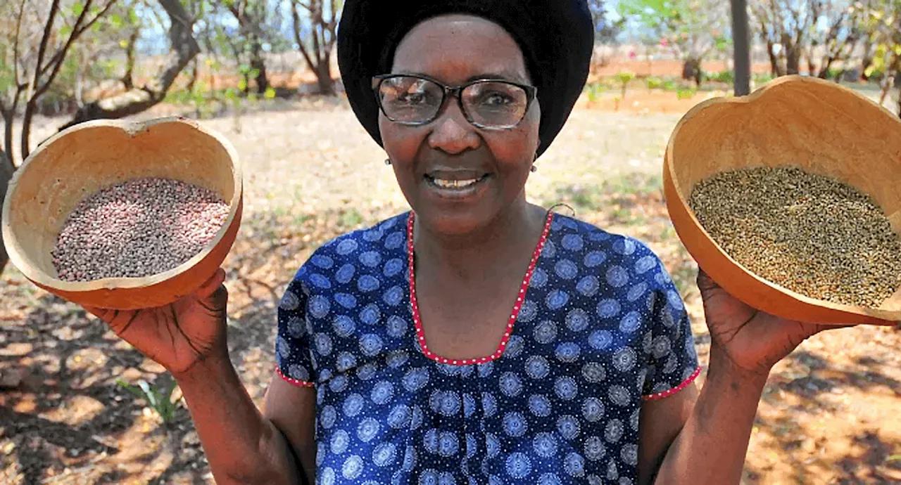 South African suburb fights food poverty with climate-smart farming methods