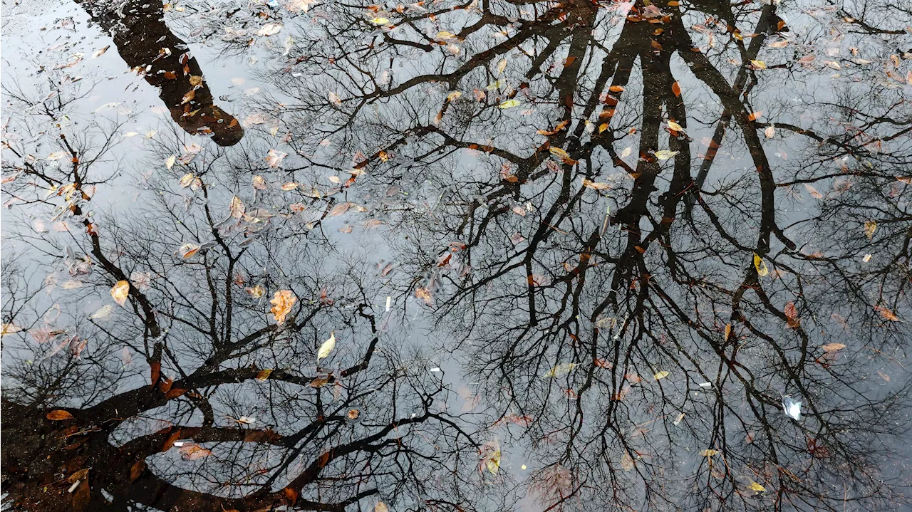 El tiempo en España 22 de diciembre: Lluvias fuertes en el norte peninsular y en Canarias