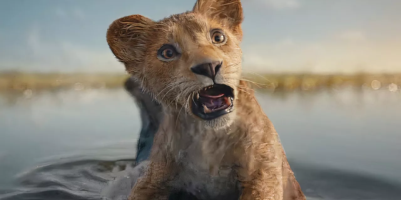 New Lion King Prequel Has Critics & Audiences Very Divided (Again) On Rotten Tomatoes