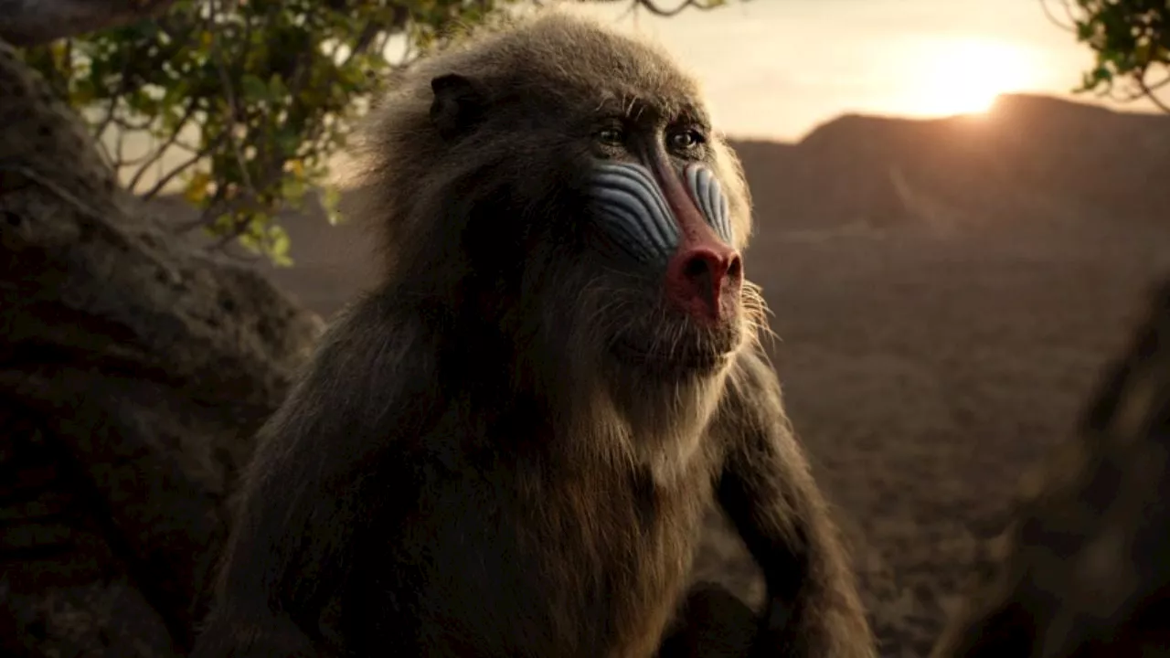 'El Rey León': La trágica historia de Rafiki y cómo él y Mufasa se hicieron amigos