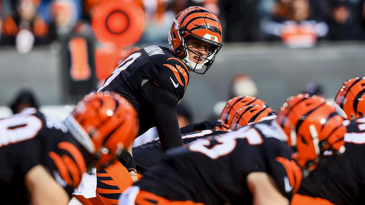 Cincinnati Bengals wide receiver Tee Higgins blown away from Joe Burrow's performance