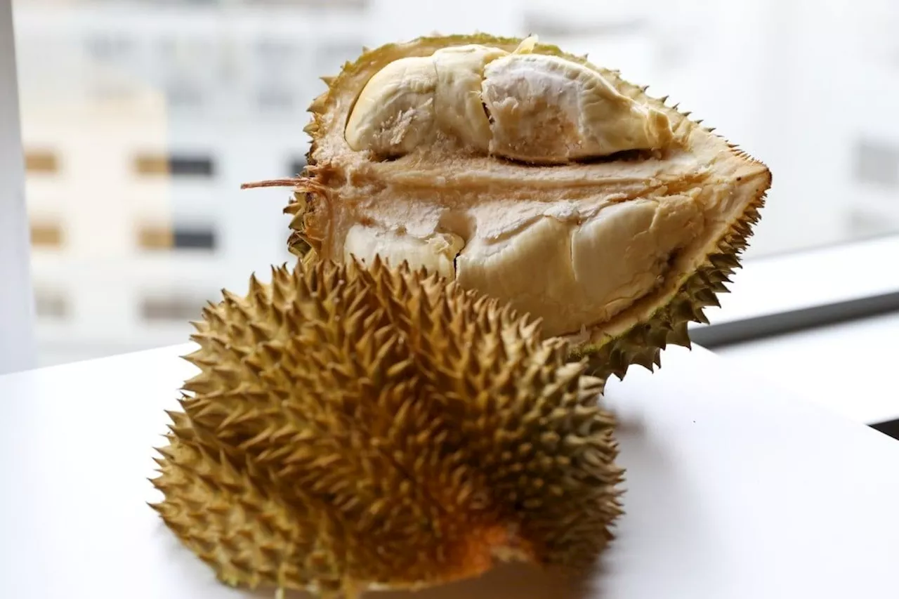 Scientists find key nutrient missing in China-grown durian