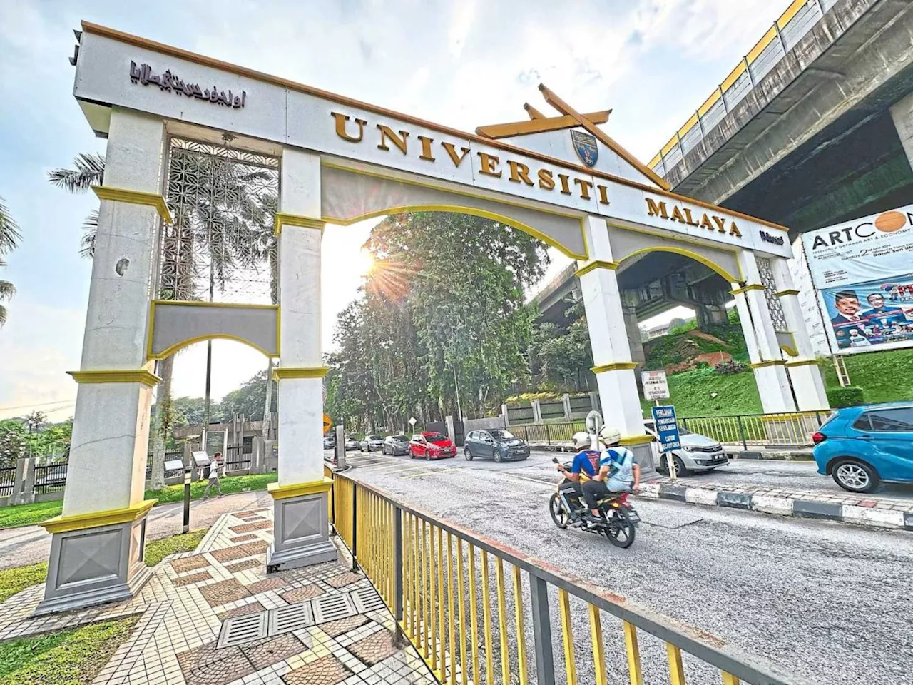 Stray dogs behind cat deaths at UM, say cops