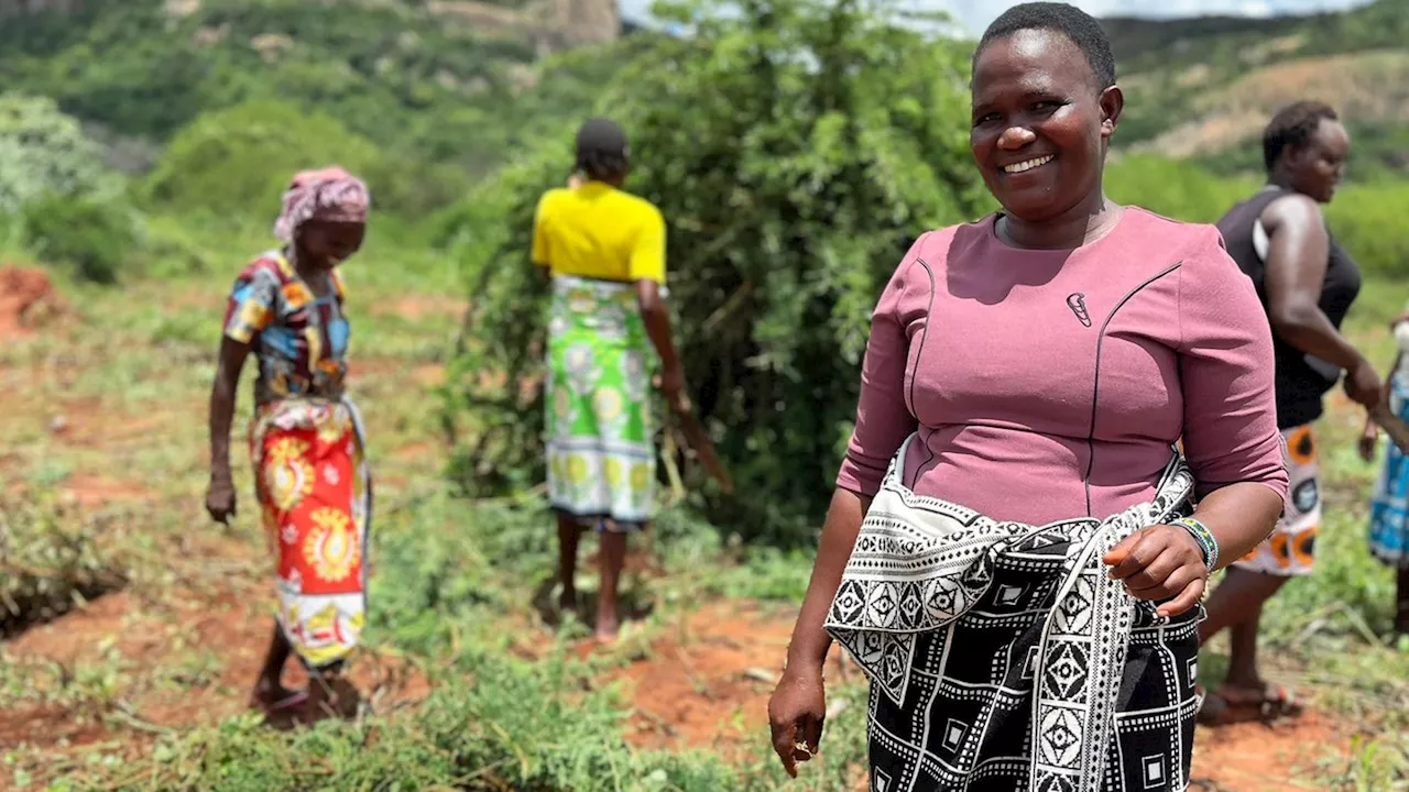 Drei Jahre lang suchte ein Dorf in Kenia Lösungen gegen den Hunger