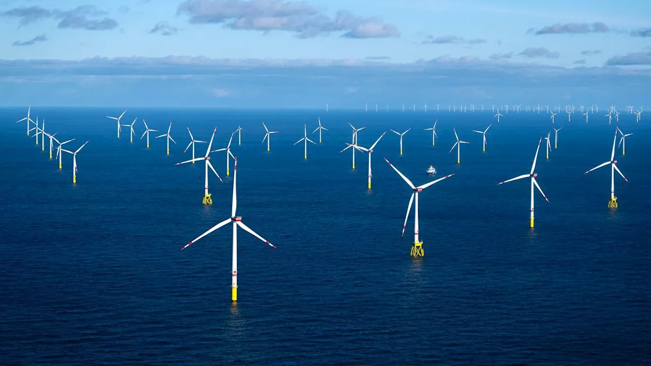 Schutz maritimer Infrastruktur: Windpark-Betreiber halten mehr Überwachung auf See für nötig