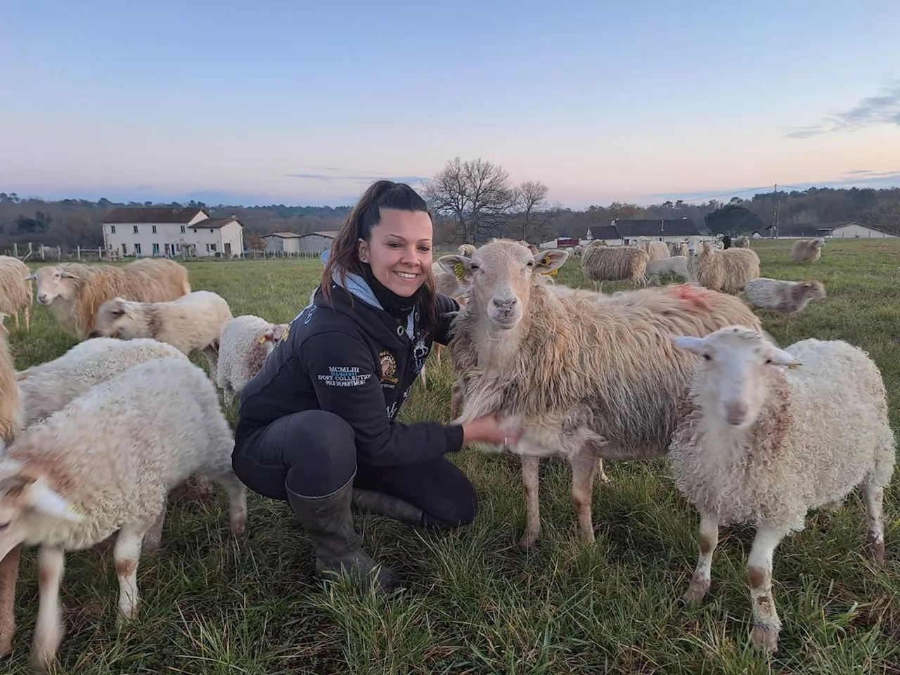 « Je réalise mon rêve d’enfant » : en pleine crise agricole, cette Girondine s’installe comme éleveuse de brebis