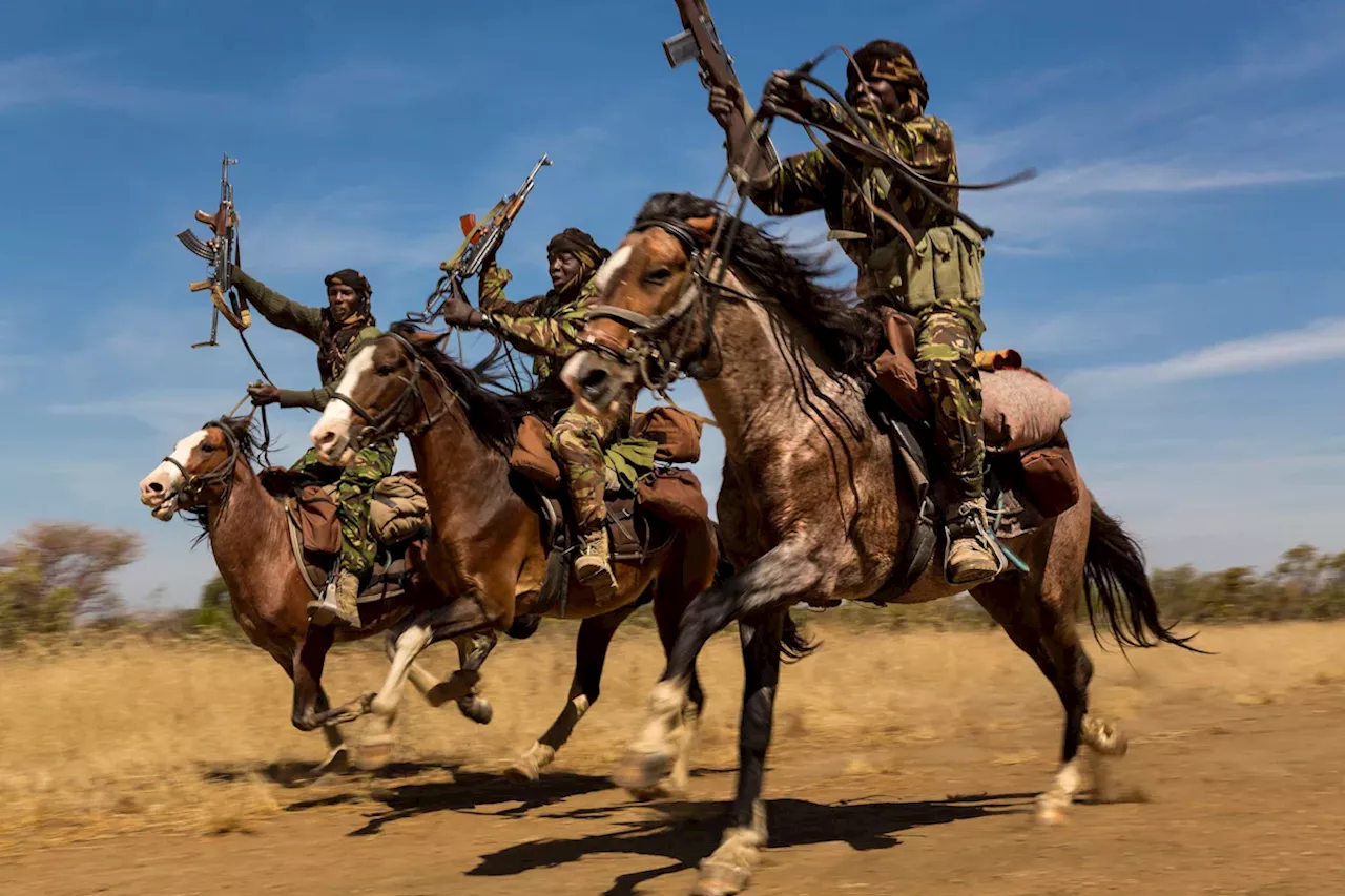 Militarisierter Naturschutz in Afrika: Das zweifelhafte Geschäftsmodell von African Parks