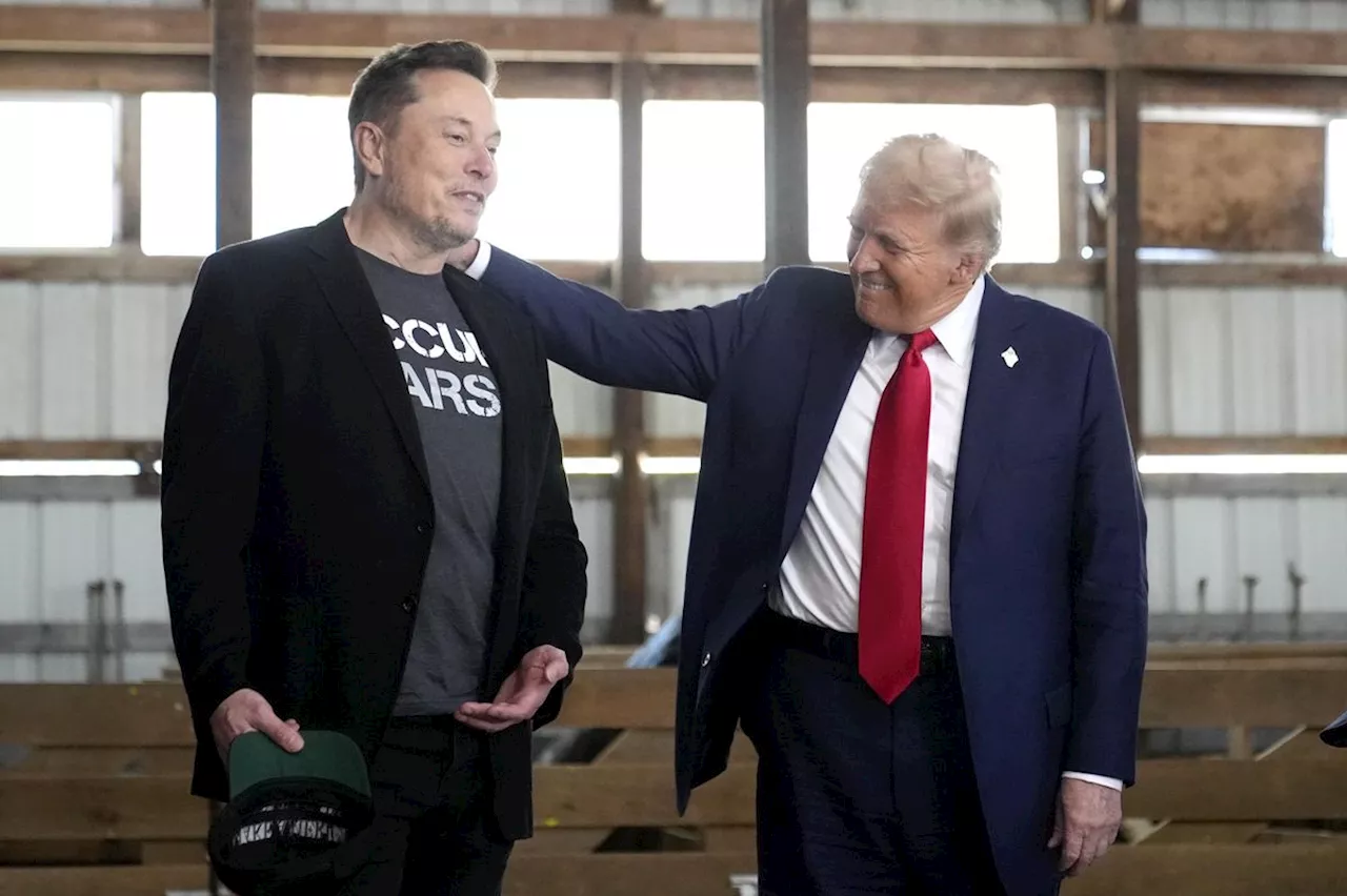 Elon Musk und Donald Trump: Wer in den USA das Sagen hat