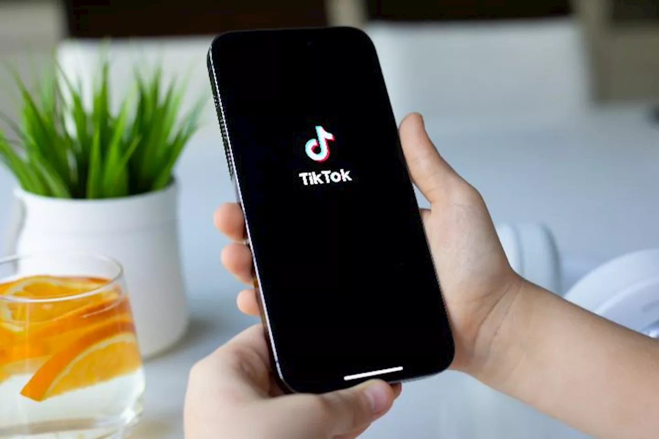 Pemerintah Albania Blokir TikTok Pada 2025