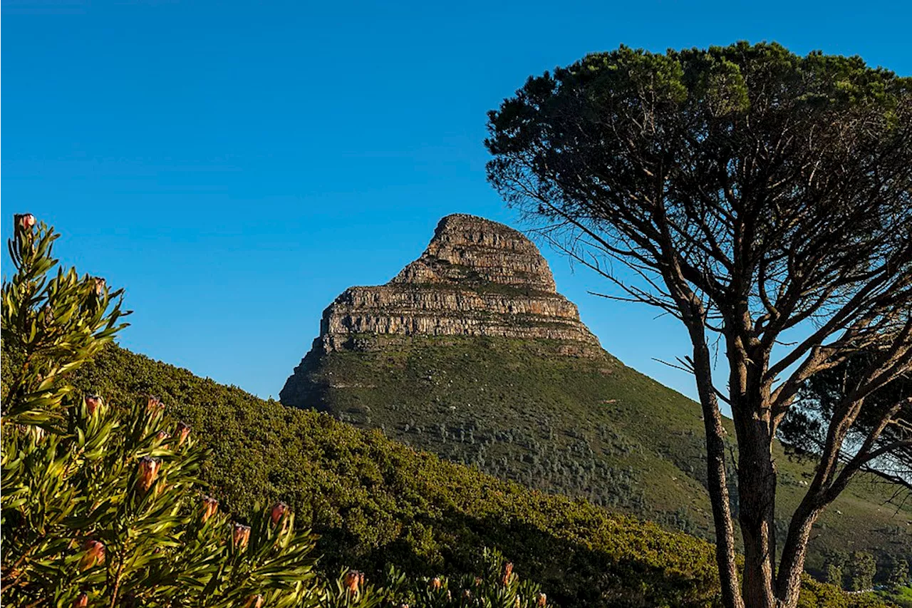 FREE activities in Cape Town: Enjoy the city without spending a cent