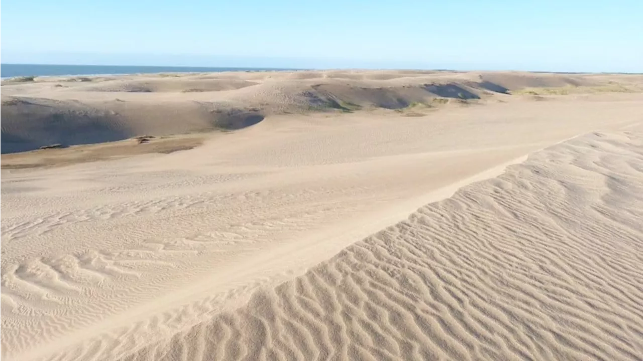 Reserva Faro Querandí: no podés perderte este refugio de biodiversidad entre mar y dunas