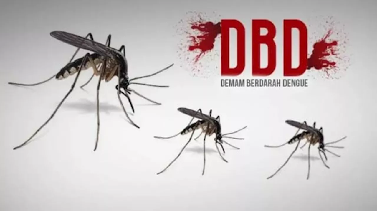 Pemerintah Kalimantan Timur Gandeng Malaysia Buat Kendalikan Dengue