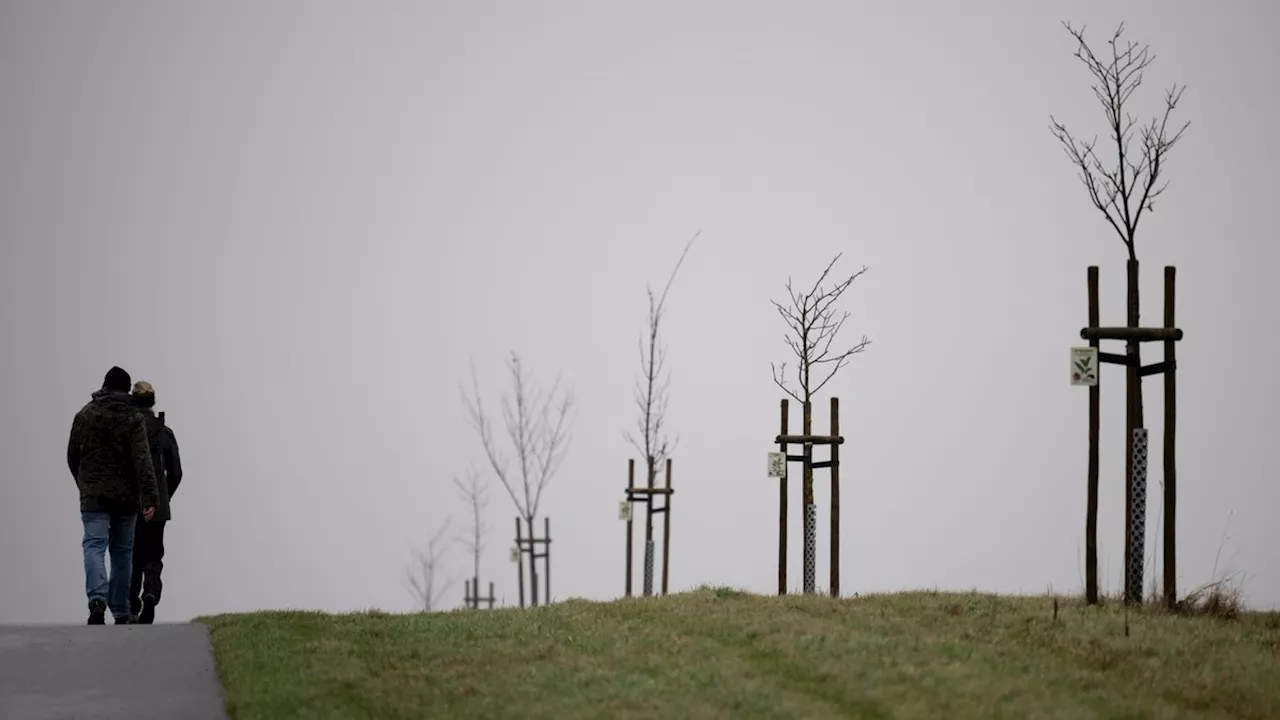 Wetter am Sonntag: Viel Wind und viel Regen am vierten Advent