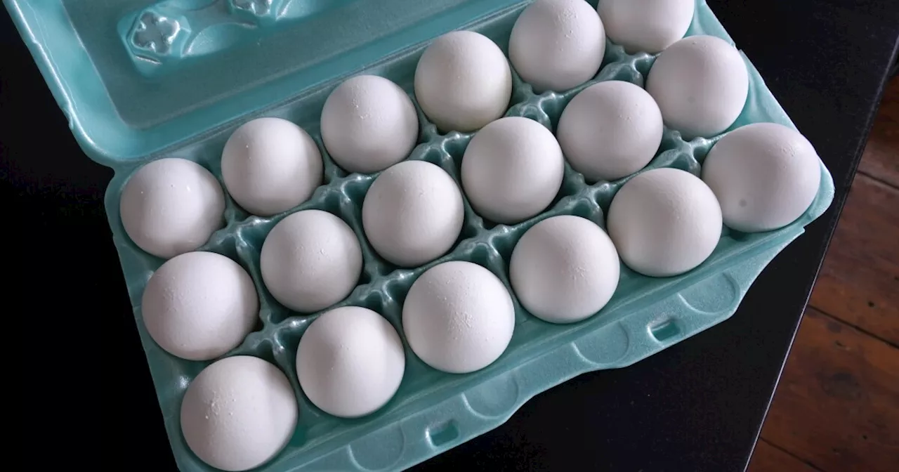 Bird Flu Drives Up Egg Prices