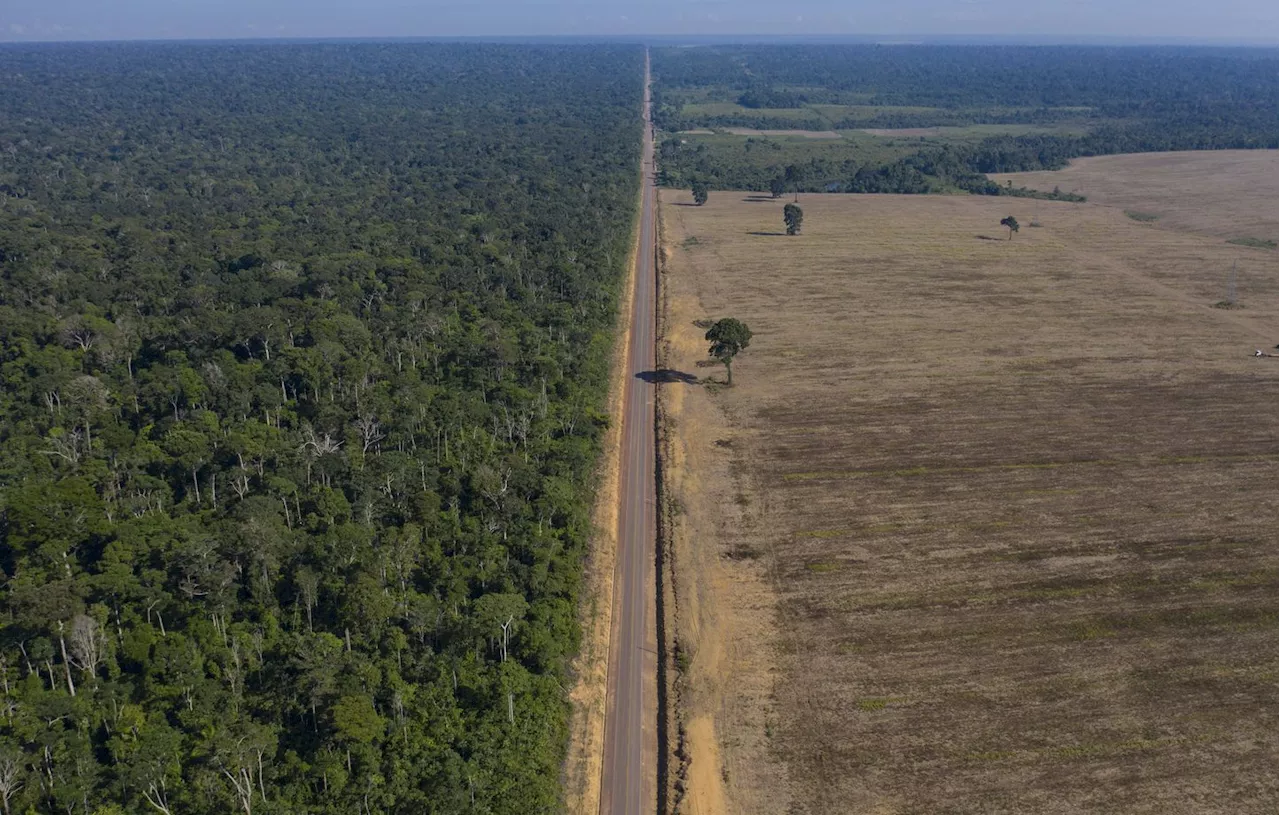 Des communautés isolées dévoilées en Amazonie