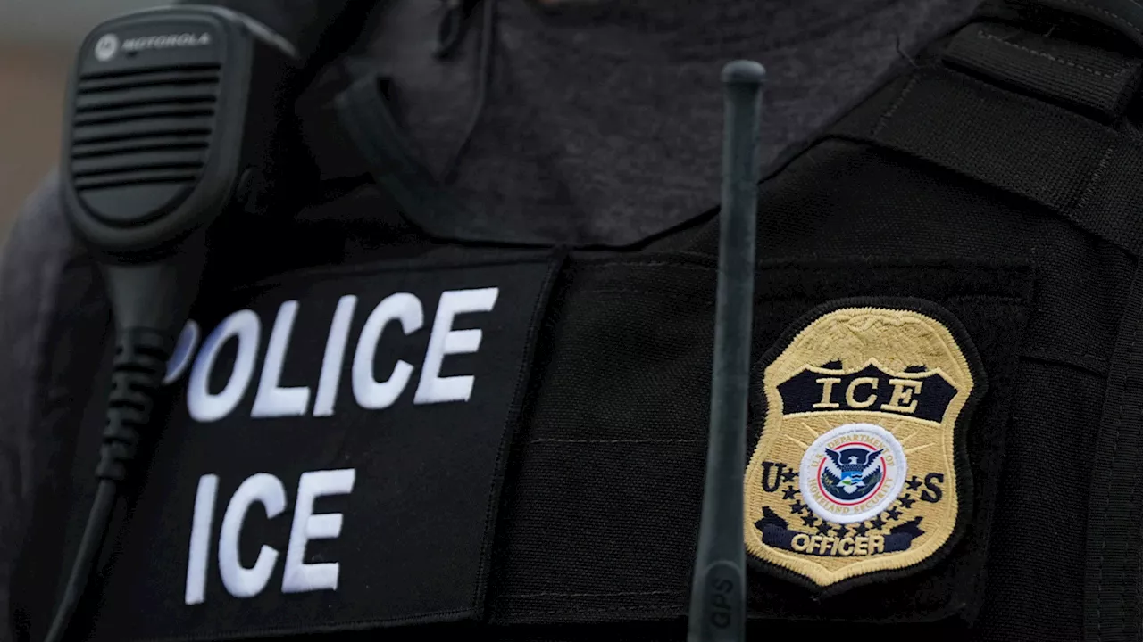 Targeted Enforcement: Glimpse into Trump's Immigration Agenda