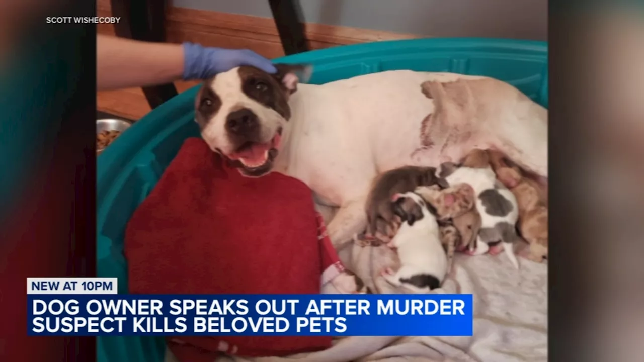 Berwyn father recalls moment triple murder suspect invaded his home, killed his dogs