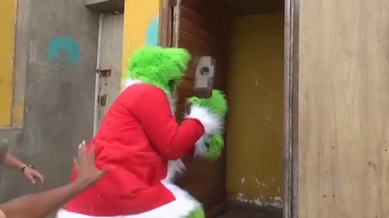 Grinch Costume Used in Drug Bust by Peruvian Police