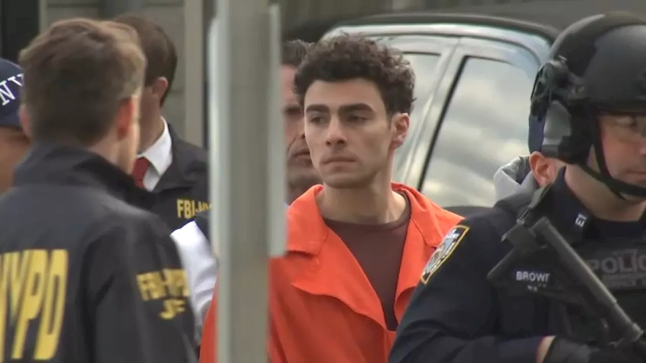 Man Accused of Murdering CEO Faces Terrorism Charges in Separate Cases