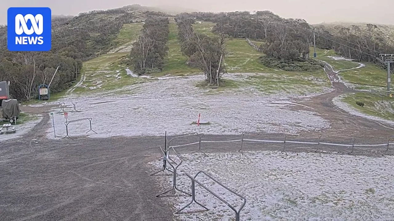 Surprise snow flurries in NSW alps give locals an early Christmas present