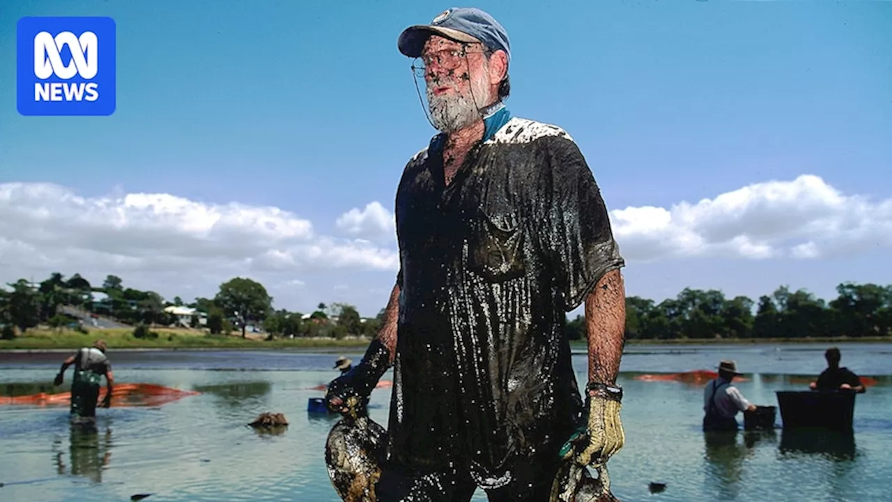 Turtle Champion Col Limpus Retires After Decades of Research