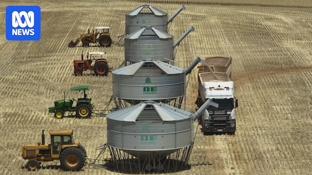 Western Australia Records Bumper Grain Harvest