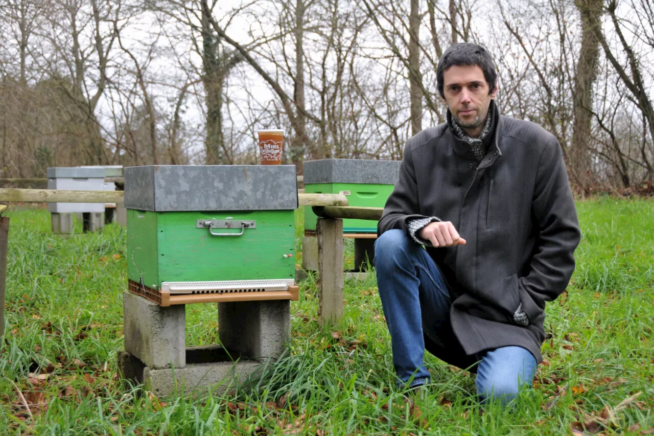 Formation Apiculture Ouverte au Public