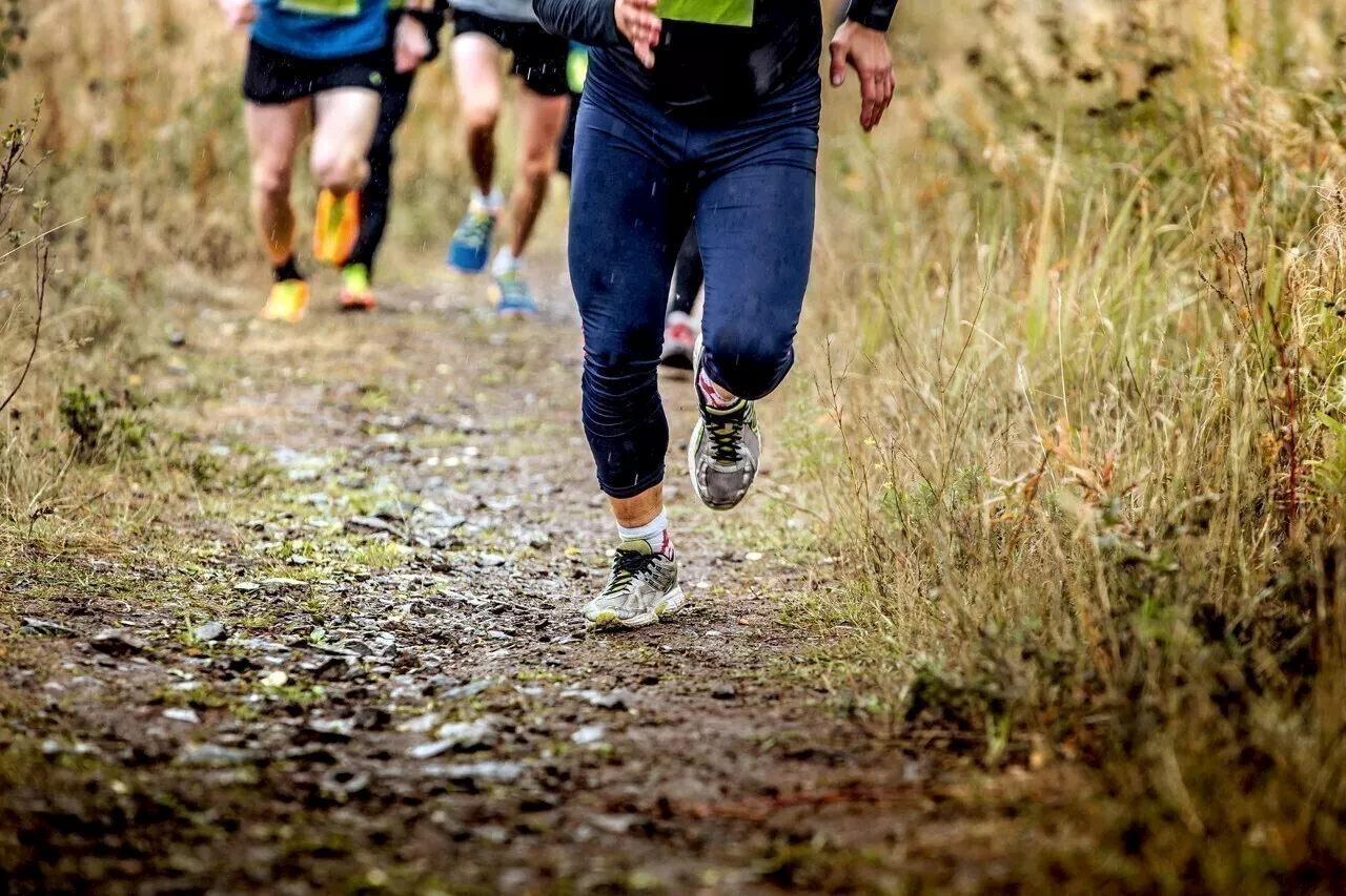 Pays de Ploërmel : découvrez toutes les dates des trails pour l’année 2025