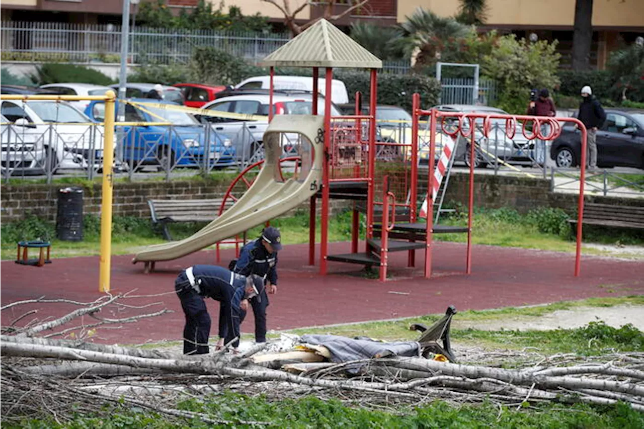 Tragedia a Roma: donna uccisa da un albero caduto nel parco