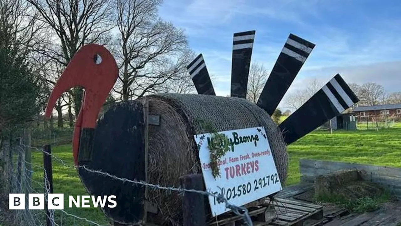 Kent turkey farmer fears for industry's future