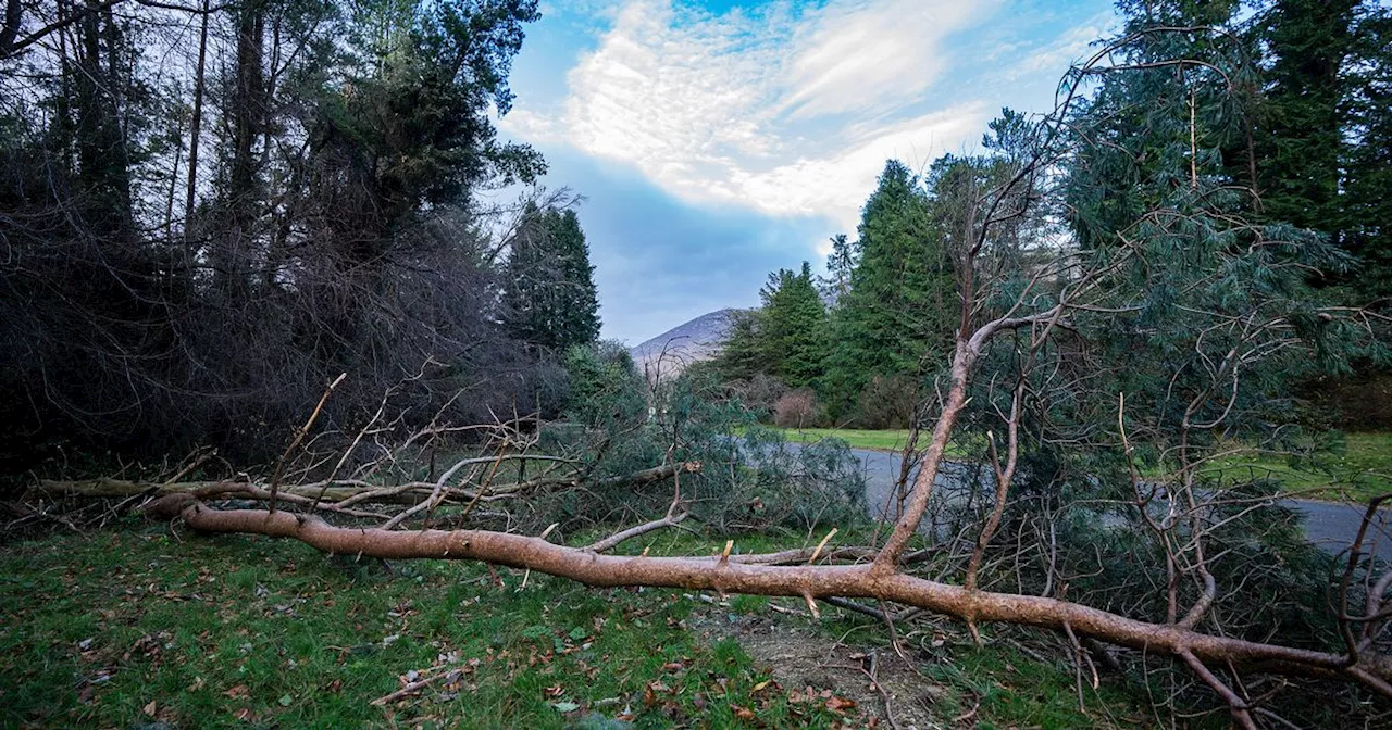 Silent Valley Reopens to Public After Storm Damage