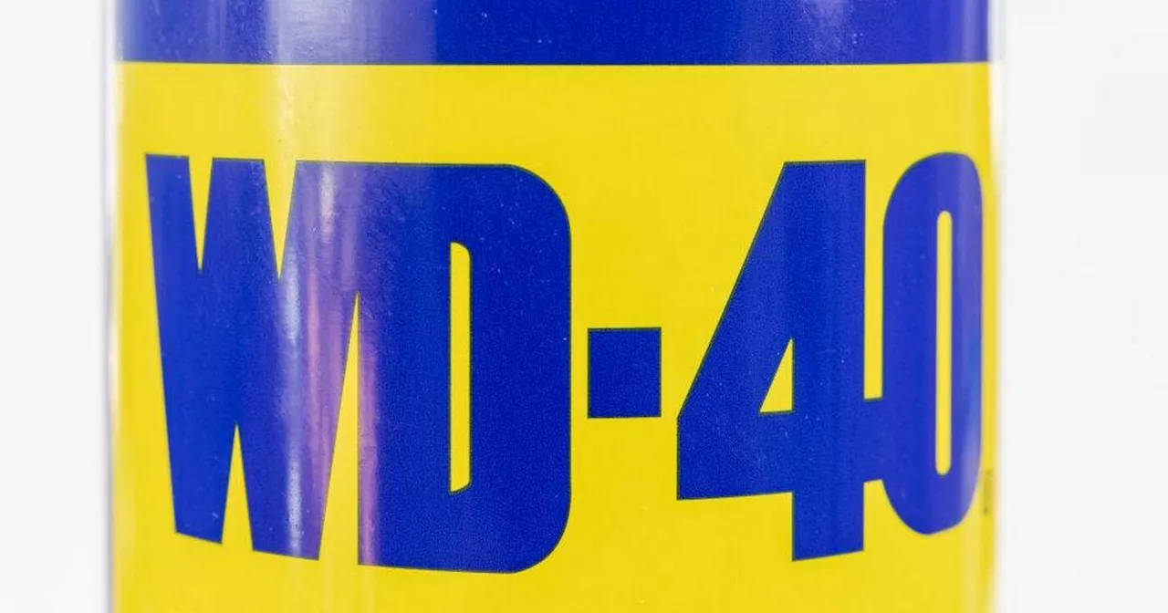 TikTok Users Shocked to Discover the Meaning Behind WD-40