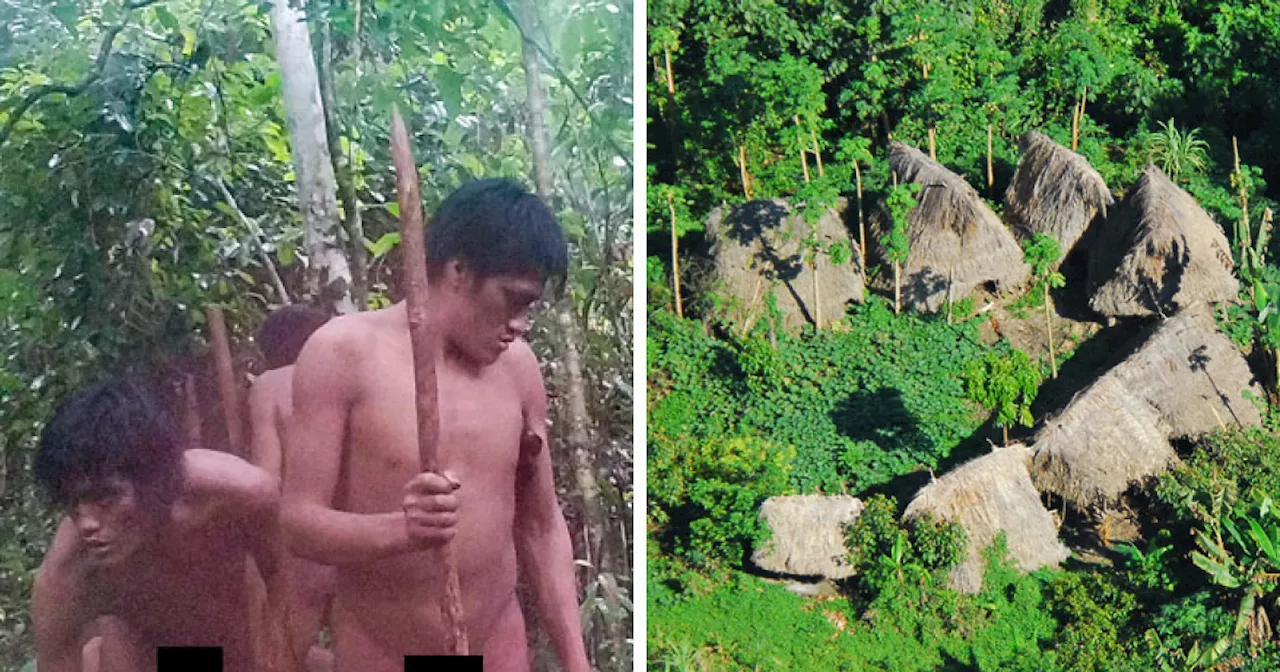 Isolated Brazilian Tribe Uses Spiky Traps to Protect Territory