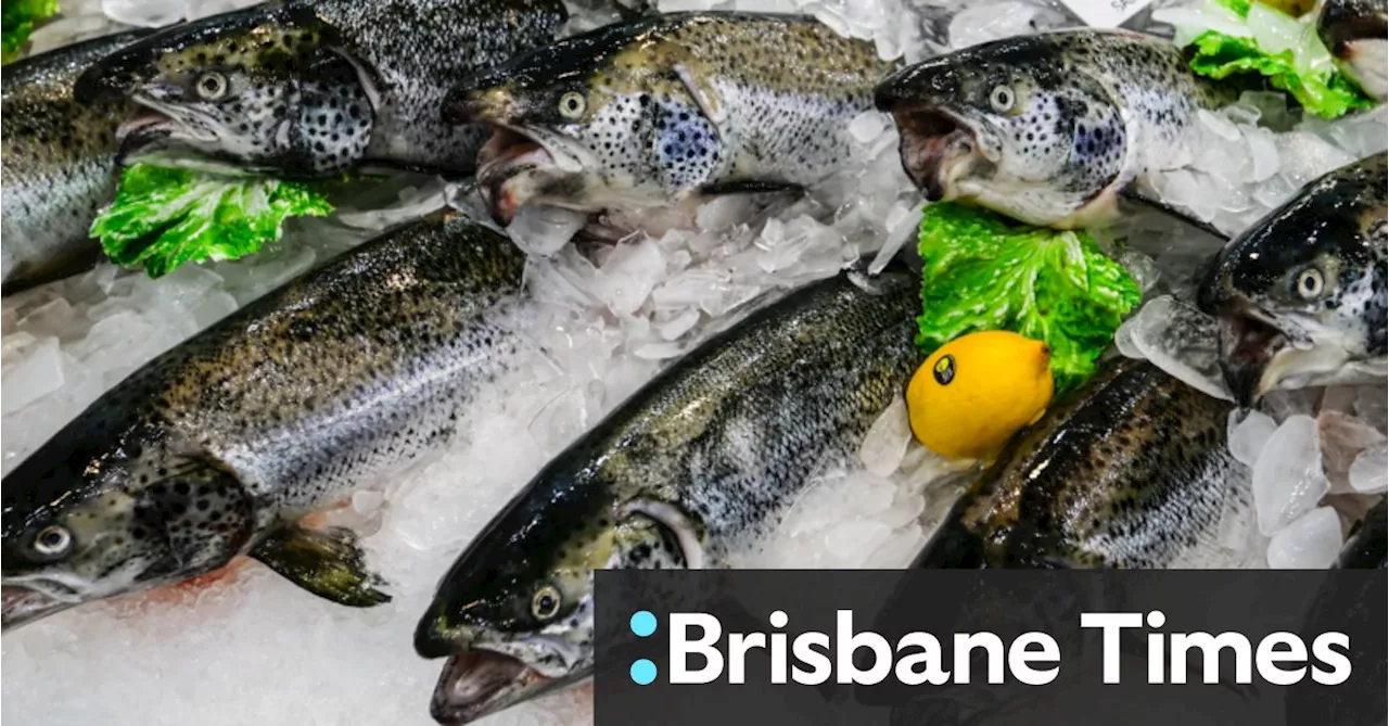 Tasmania's Salmon Industry: Sustainability or Environmental Threat?