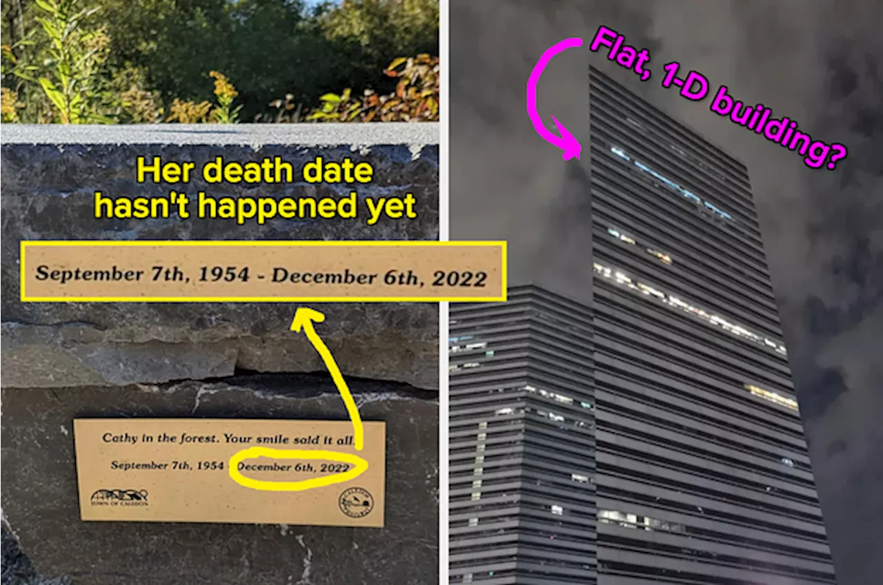 Mildly Interesting: A Collection of Quirky and Unexpected Finds