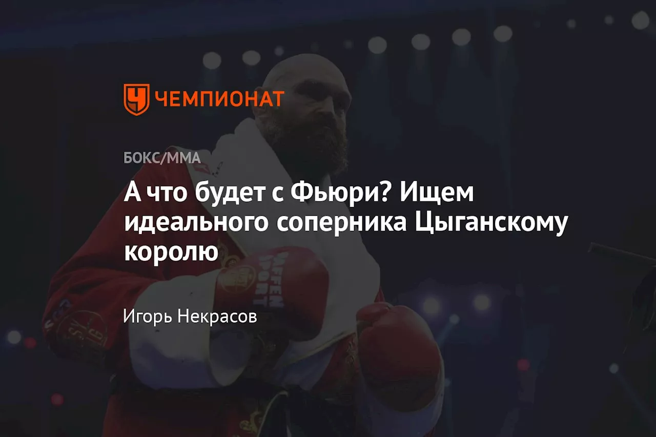 А что будет с Фьюри? Ищем идеального соперника Цыганскому королю