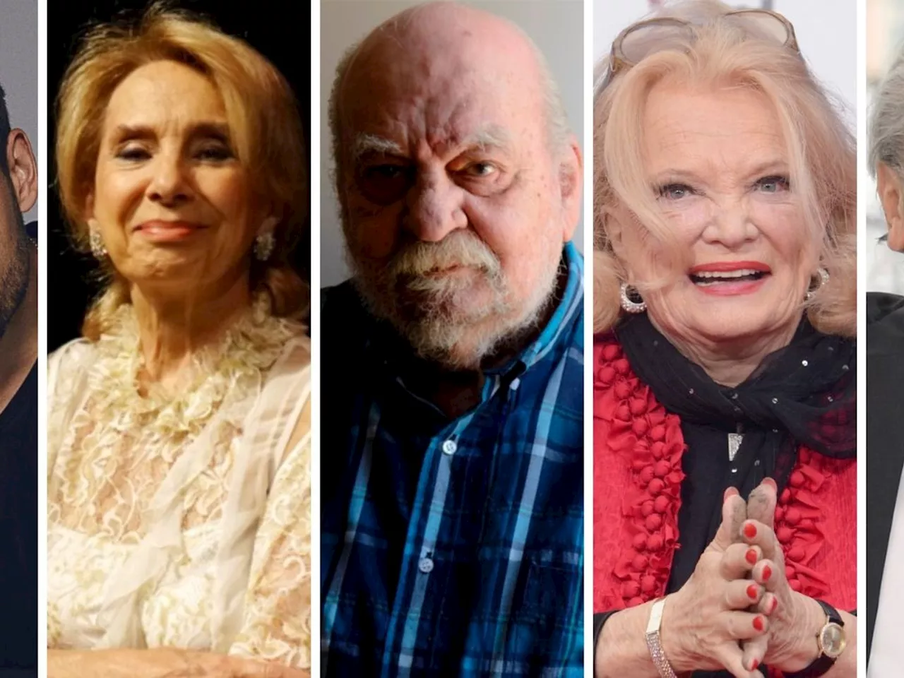 De Selva Alemán a Tito Cossa, de Alain Delon a Liam Payne: los grandes artistas que murieron en 2024