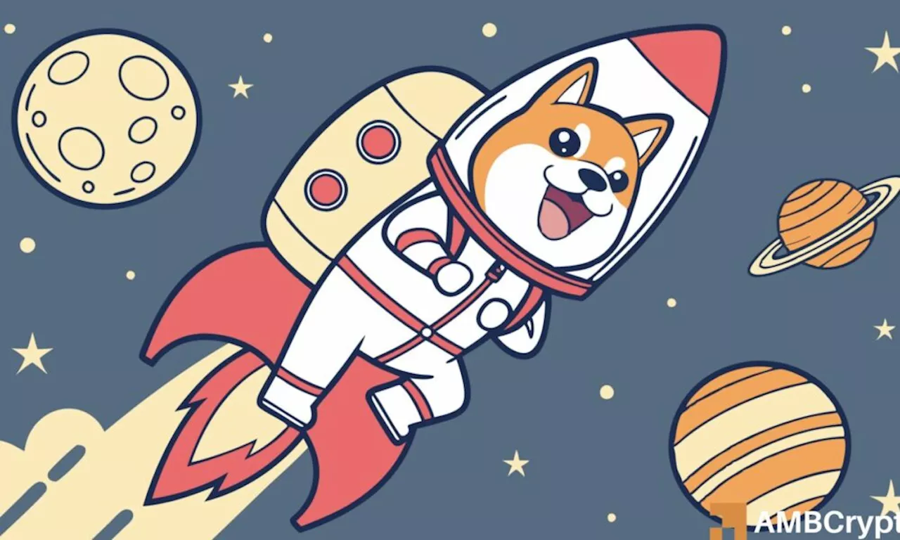 Dogecoin Poised for 12,000% Rally as Whale Transactions Surge