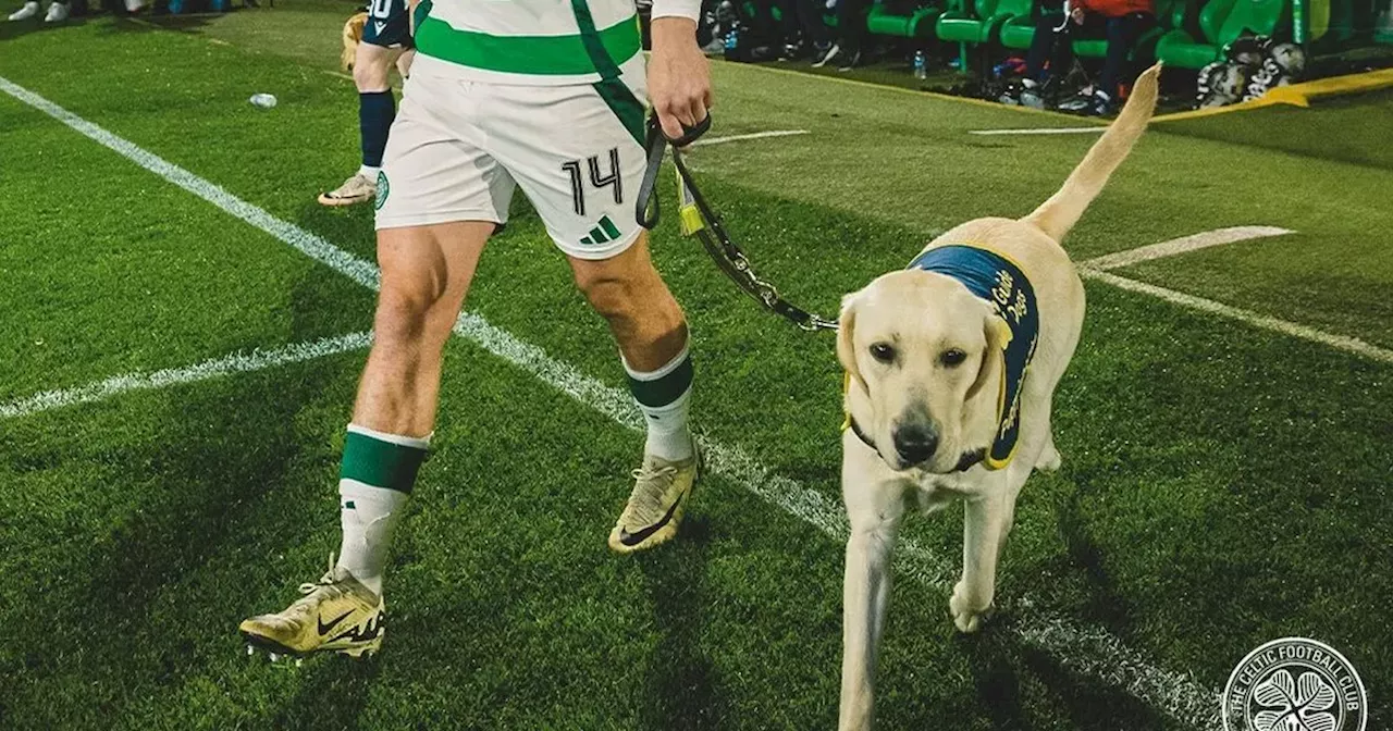 Guide Dog Puppy Phelps Says Farewell to Raisers After Celtic Park Experience